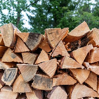 Особенности выбора дров: как правильно подобрать идеальное топливо для вашего камина