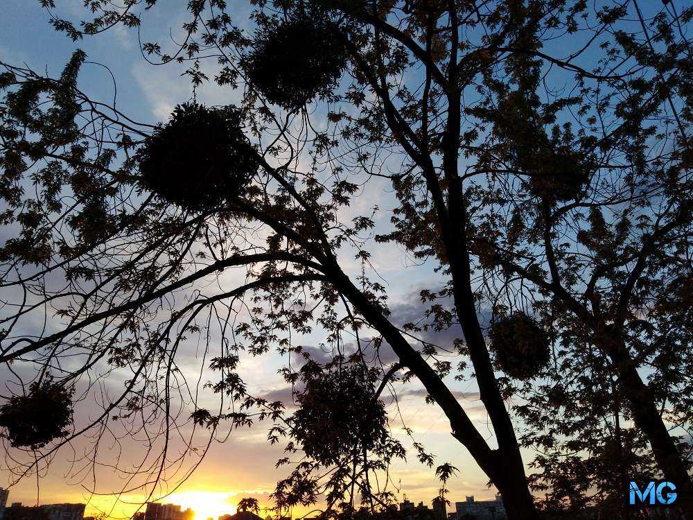 Huawei Y7 Prime 2018