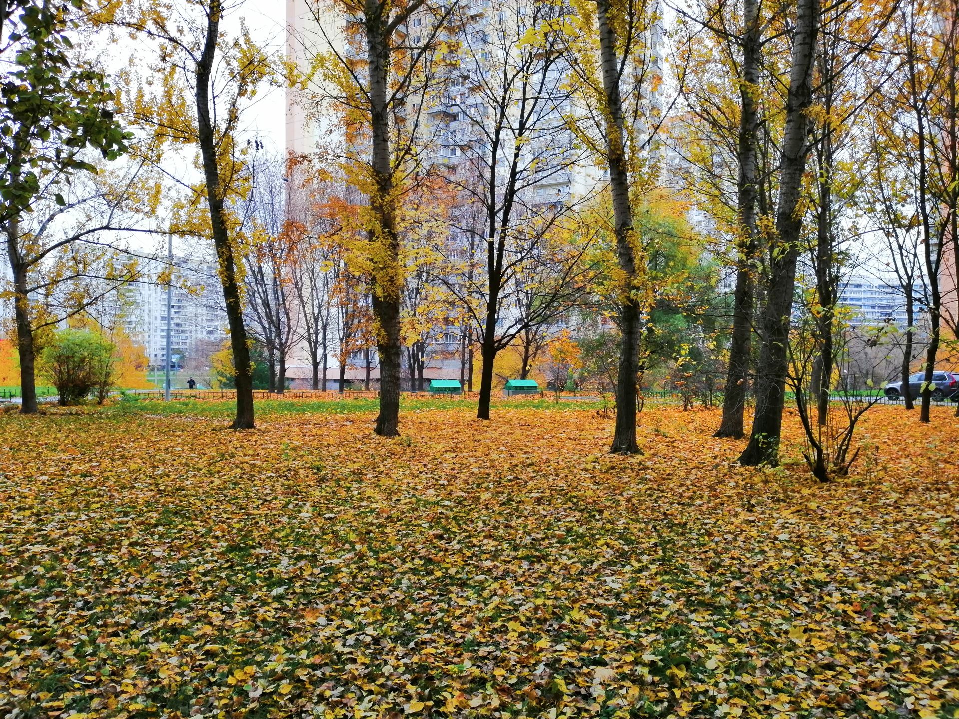 Смартфон Honor 8X - отзывы