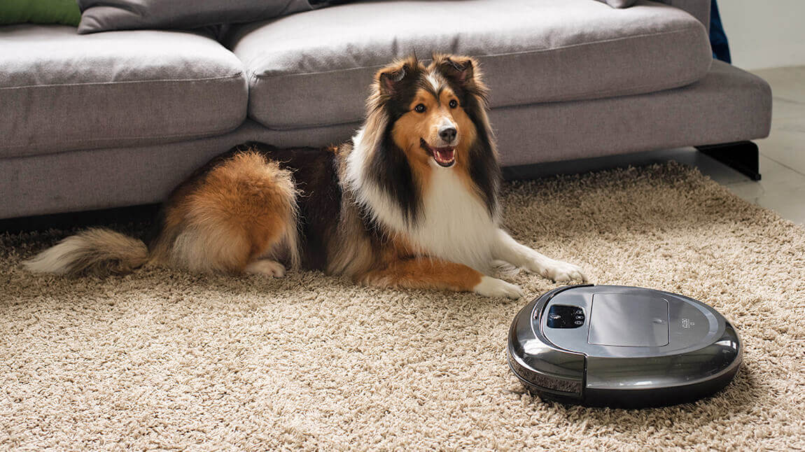 Робот-пылесос iClebo Arte отличается умом и сообразительностью