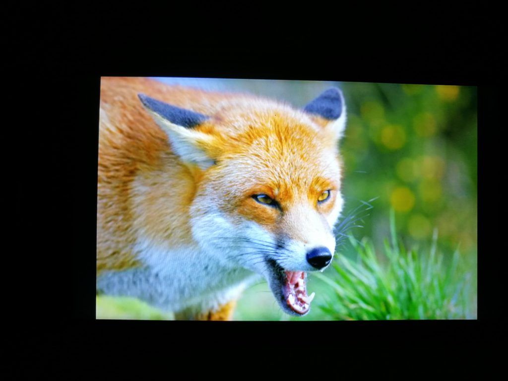 Технические характеристики Blackview BV5800 и цены