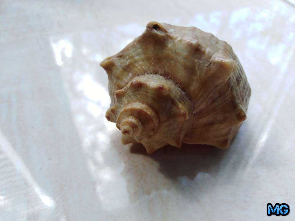 Huawei Y7 Prime 2018