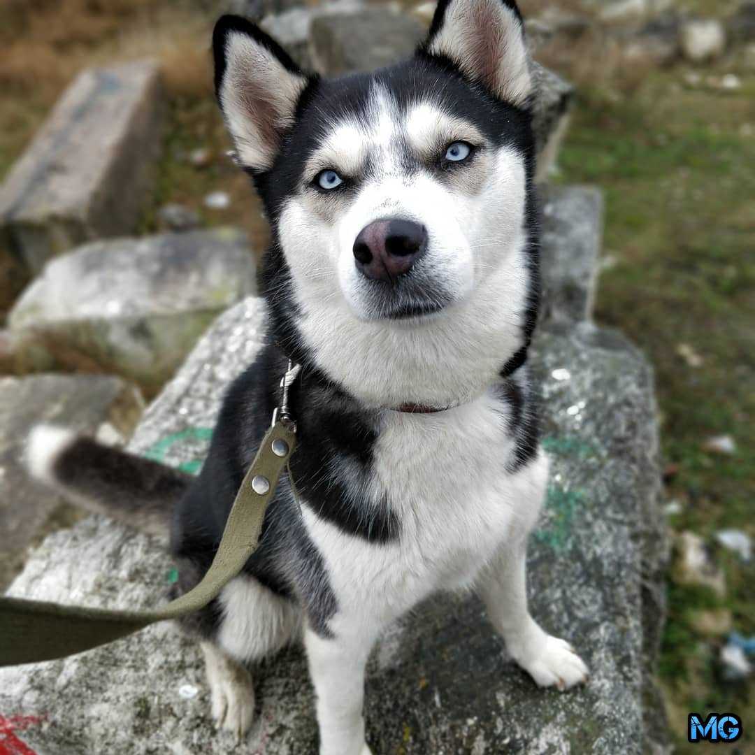 Наверное, самый быстрый смартфон полный обзор OnePlus 5T