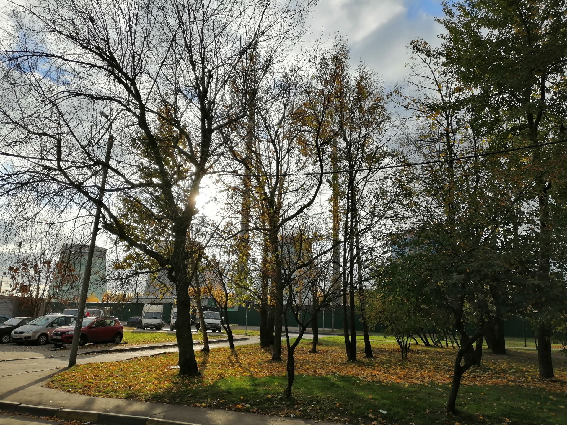 Смартфон Honor 8X - отзывы