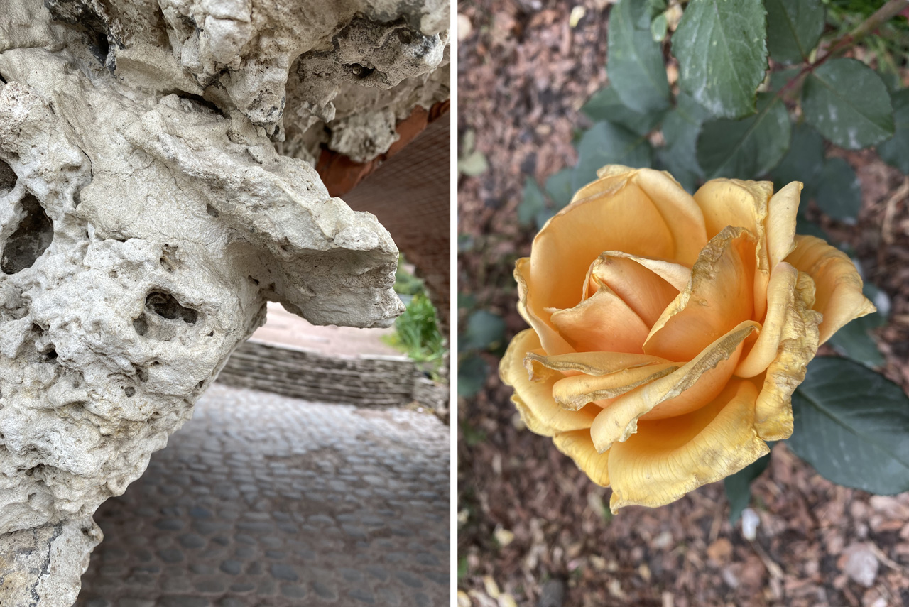 Технические характеристики Huawei Honor 4C Pro и цены