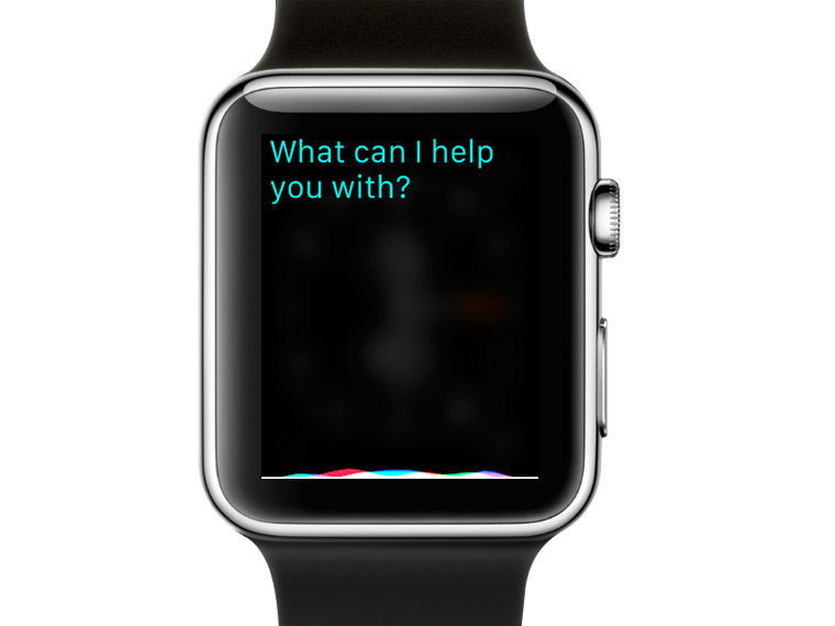 Apple Watch Support