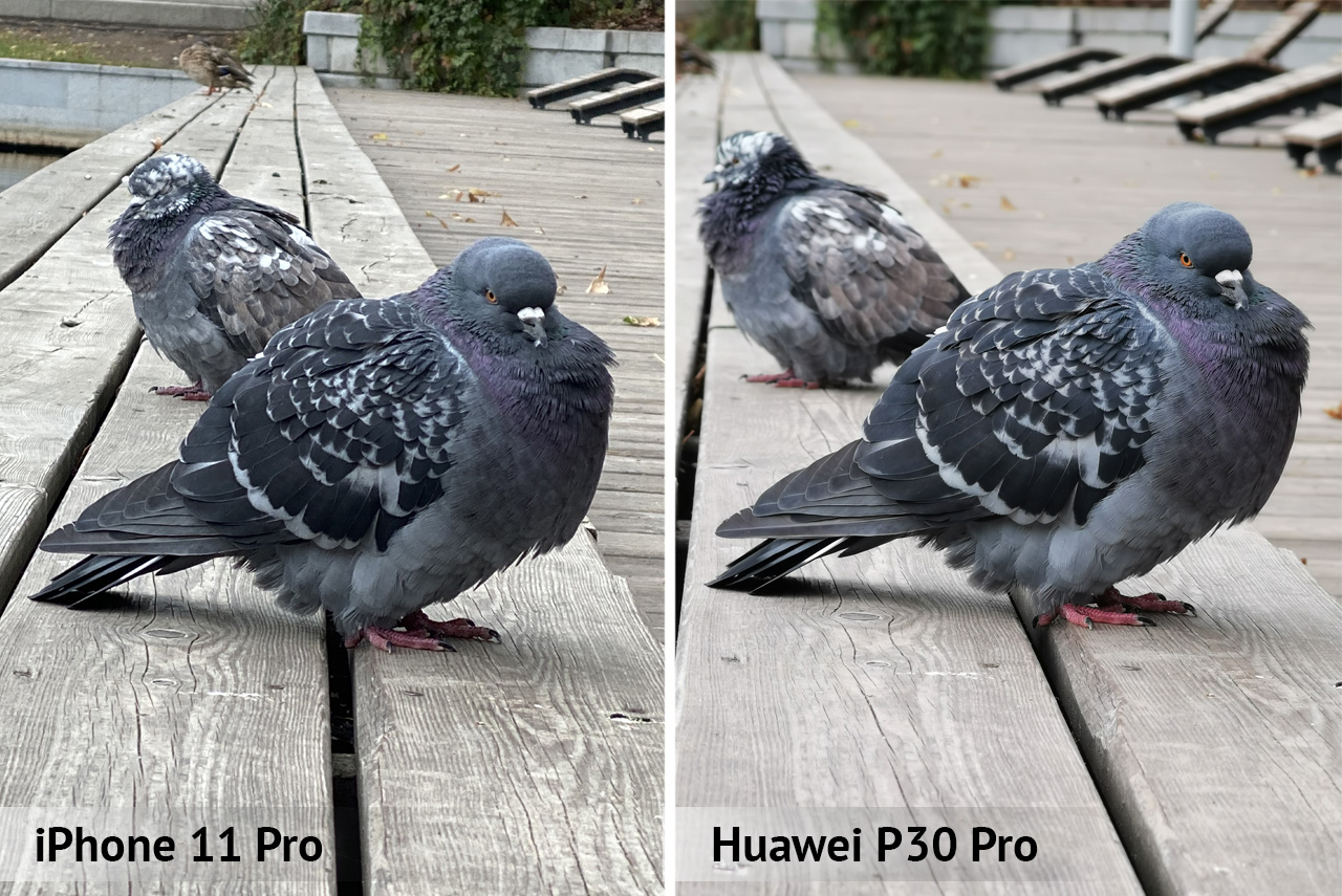 Технические характеристики Huawei Honor 4C Pro и цены