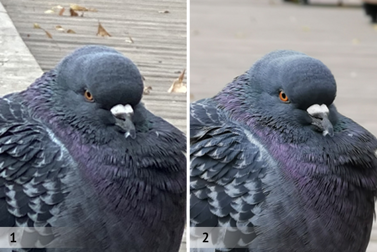 Технические характеристики Huawei Honor 4C Pro и цены