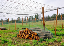 Дрова в сетках: удобный способ хранения и продажи без лишней мороки