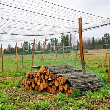 Дрова в сетках: удобный способ хранения и продажи без лишней мороки