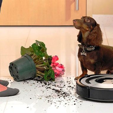 Робот пылесос с функцией влажной уборки